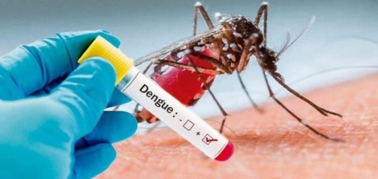 População deve aproveitar isolamento social para combater a dengue