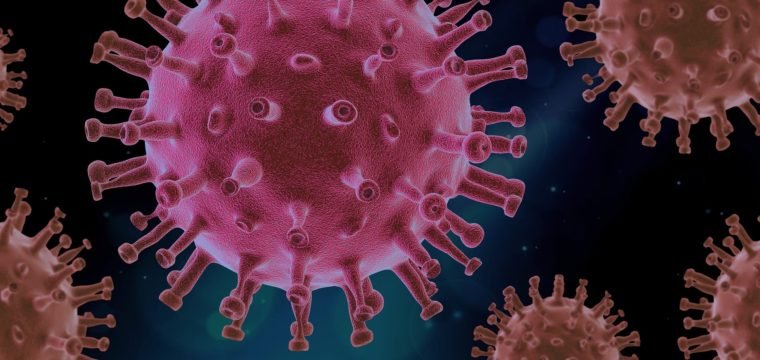 ES chega a 2.514 mortes e 81.886 casos confirmados de Covid-19