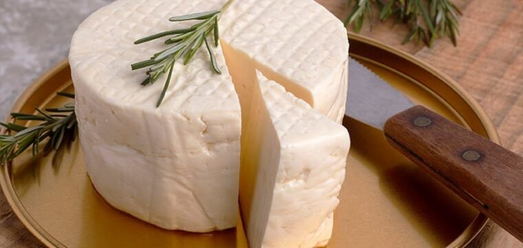 Produção de queijos é a segunda maior em agroindústrias do Espírito Santo