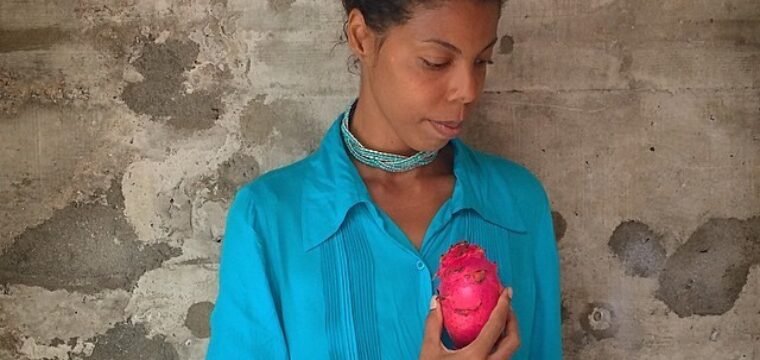 Livro sobre Rubiane Maia reúne obras dos dez primeiros anos de carreira