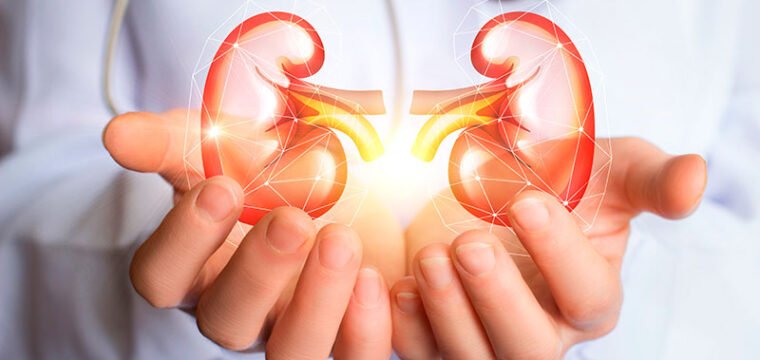 Dia Mundial do Rim: É possível viver bem com a Doença Renal