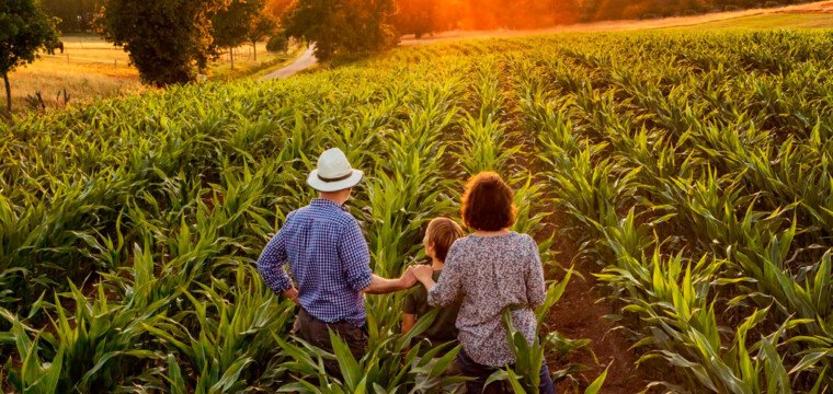 Cachoeiro vai comemorar Dia do Agricultor com evento em Jacu