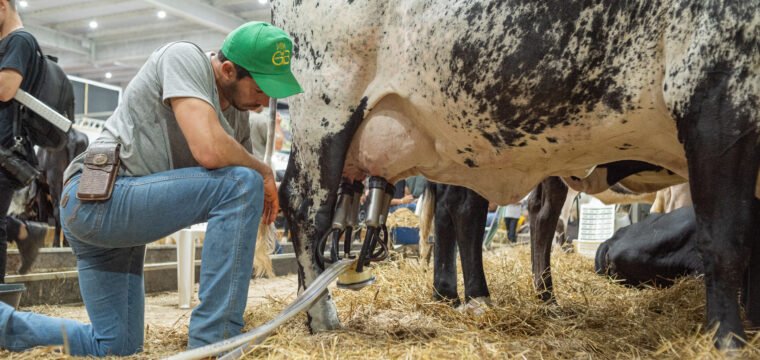 ExpoSul Rural reúne sustentabilidade, tecnologia e projeta mais de 100 mil pessoas