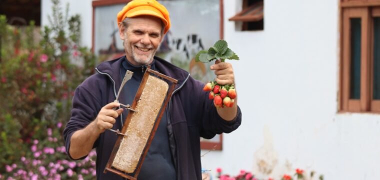 Um banquete de sabores com morangos nas montanhas