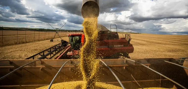 Exportações do agro capixaba batem recorde nos sete primeiros meses de 2024