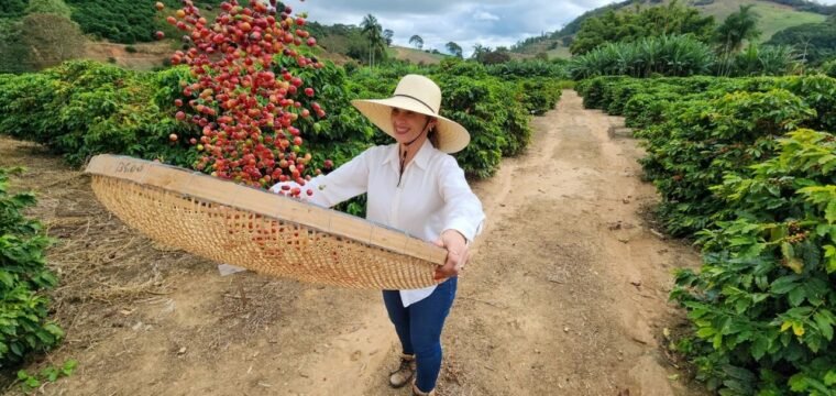 Incaper garante R$ 3,4 milhões em novos projetos de pesquisa para fortalecer cafeicultura capixaba