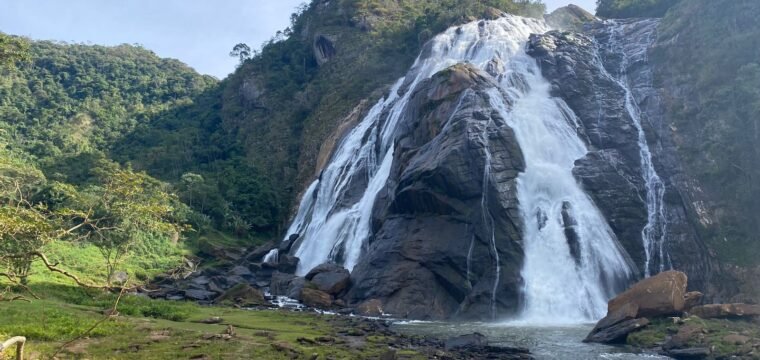 Veja como será o funcionamento dos parques estaduais no fim do ano