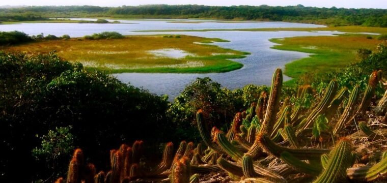 Parques Estaduais estarão abertos no Carnaval 2026