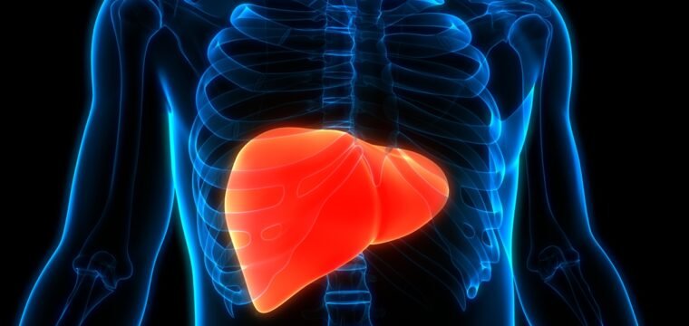 Hepatologista explica como medicamento popular afeta saúde do fígado