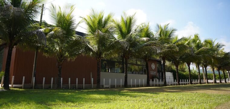 Mahalo abre pré-venda na segunda (09) para festa de 6 anos que acontece no Cerimonial Sonho Meu, em Cachoeiro