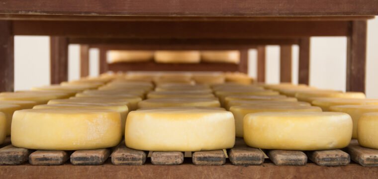 Queijo Calvi, de Cachoeiro, é eleito o melhor meia cura do Espírito Santo